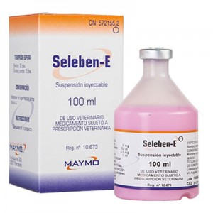 سلبن  ای   Seleben- E