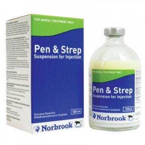 پن استرپ  Pen & Strep