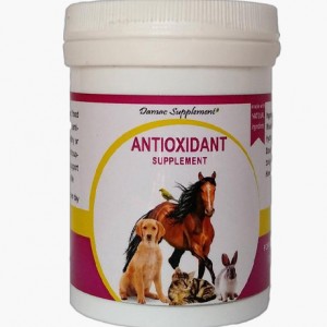 مکمل آنتی اکسیدان داماک حیوانات خانگی