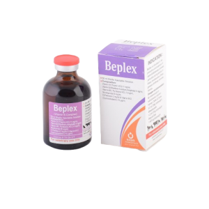 بپلكس Beplex