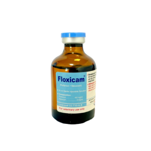 فلوکسیکام Floxicam