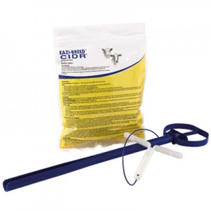 سیدر گاو  CIDR