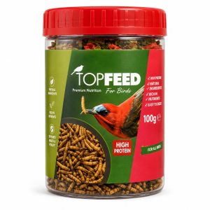 میل ورم خشک شده پرندگان تاپ فید Topfeed Dry Mealworm وزن 10 گرم