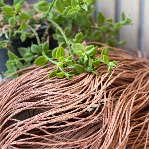 نخ رافیا مدل کاغذی