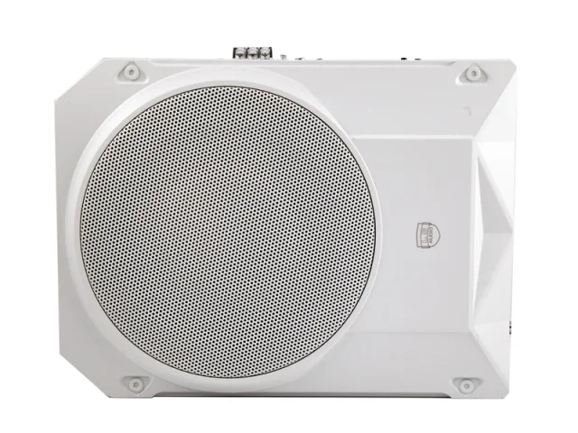 ساب باکس اکتیو ال اس آدیو مدل LS-10PRO