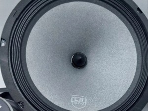 میدرنج 10 اینچ ال اس آدیو مدل LS-M10E2 بسته 2 عددی