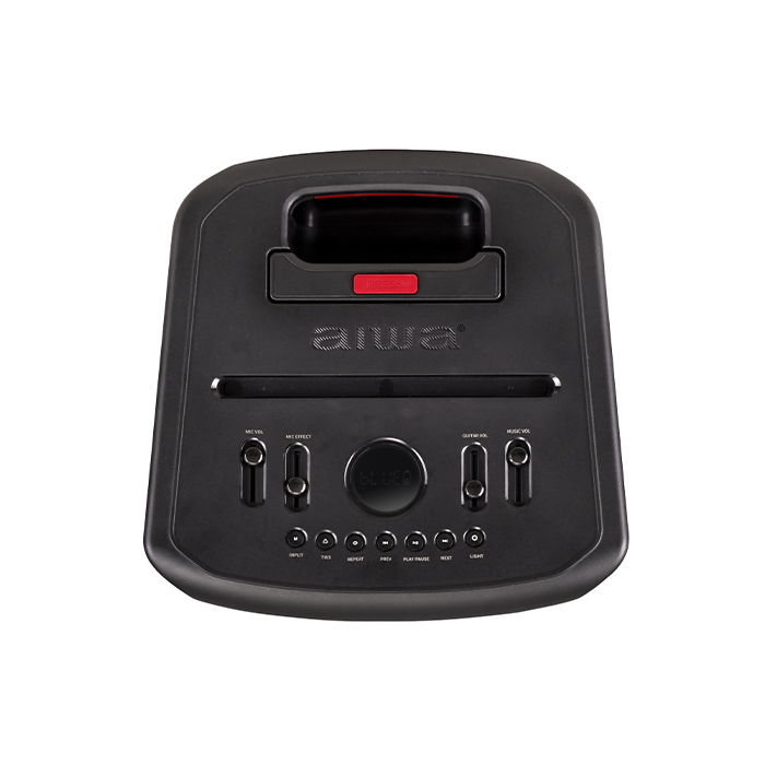 اسپیکر آیوا قابل حمل و شارژی مدل SS-X400DSP PRO