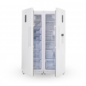 یخچال و فریزر دوقلو دیپوینت مدل D5i