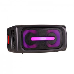 اسپیکر آیوا قابل حمل و شارژی مدل SS-X300DSP PRO