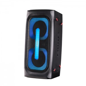 اسپیکر آیوا قابل حمل و شارژی مدل SS-X300DSP PRO