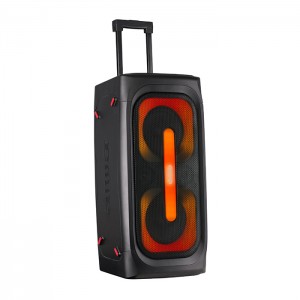 اسپیکر آیوا قابل حمل و شارژی مدل SS-X400DSP PRO