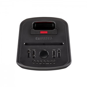 اسپیکر آیوا قابل حمل و شارژی مدل SS-X400DSP PRO