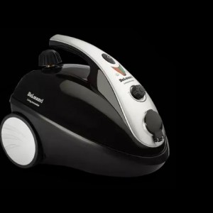 بخارشوی چند کاره دلمونتی مدل DL200