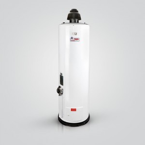 آبگرمکن گازی برفاب مدل 60-10