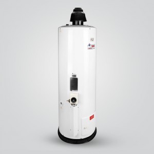 آبگرمکن گازی برفاب مدل 50-10