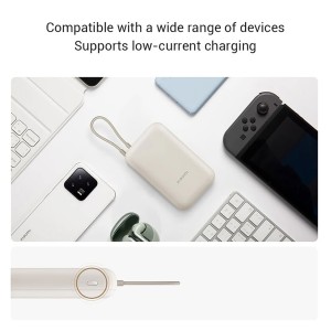 پاوربانک 10000 شیائومی Xiaomi  P15ZM اورجینال