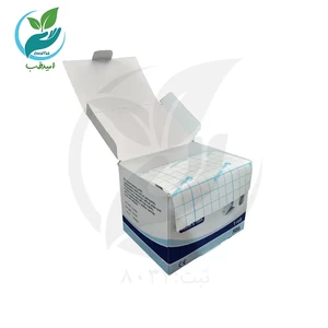 حصیری 10 با مارک1