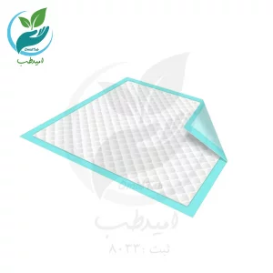 پد بهداشتی سگ مدل 21 بسته 10 عددی