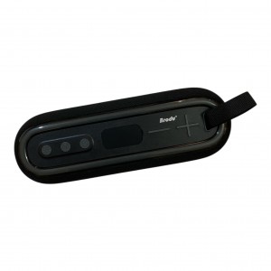 اسپیکر  بی تی اس  2 اینچ مدل  BTS-2192
