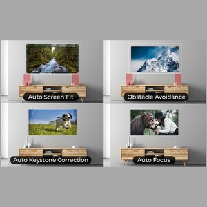 ویدئو پروژکتور قابل حمل وانبو