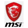 MSI