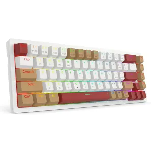 کیبورد بی سیم مکانیکال گیمینگ ردراگون Rammus K677 WLR Pro