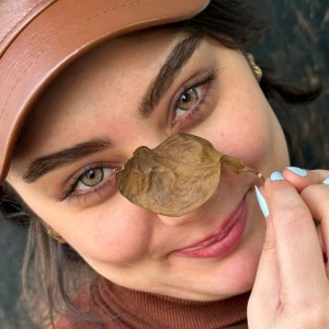 لنز رنگی نیویورک هازل (New York Hazel) برند آماندا (Amanda)