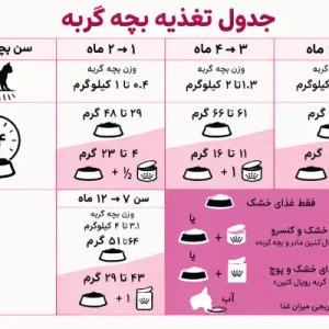 غذای خشک گربه رویال کنین کیتن