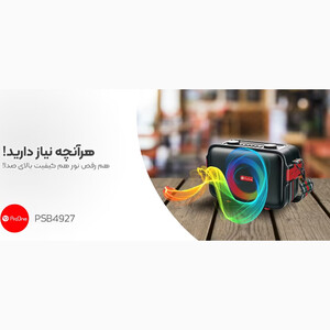 اسپیکر وایرلس پرووان