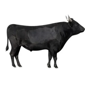 کوله پشتی لپ تاپ  15.6 اینچ چرم ضد آب یو اس بی دار بنج