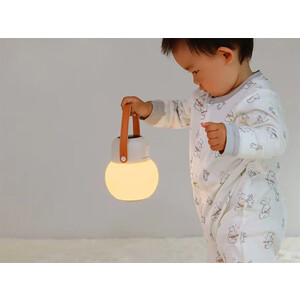 قیمت لامپ و حشره کش شیائومی Xiaomi Sothing Mosquito Repellent Lamp DSHJ-S-2123
