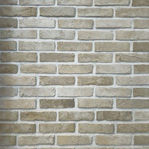 آجر نسوز آذرخش رستیک هلندی 20*5