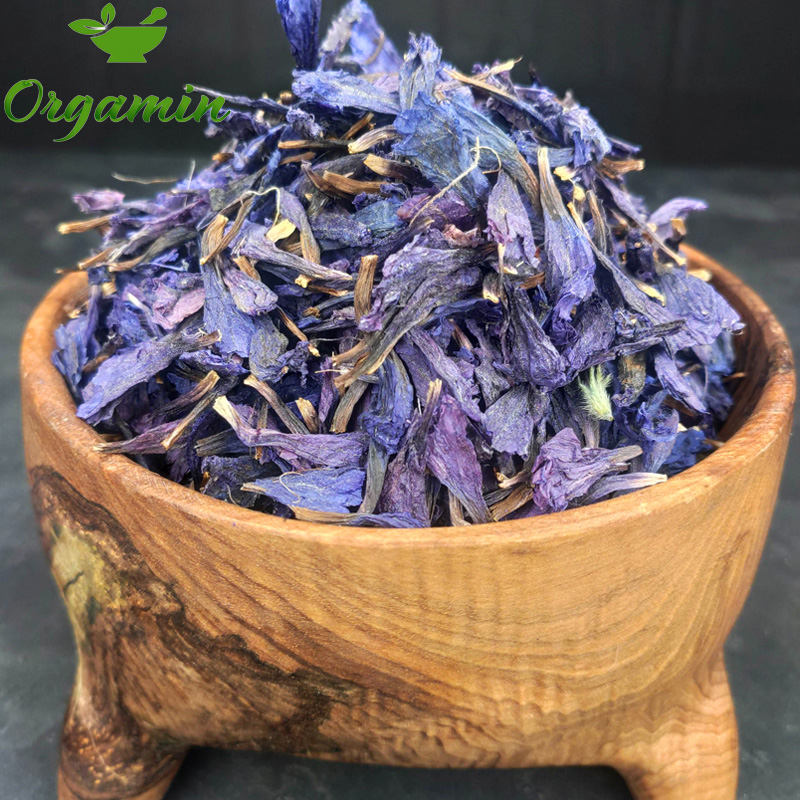 گل گاوزبان اعلای ایرانی