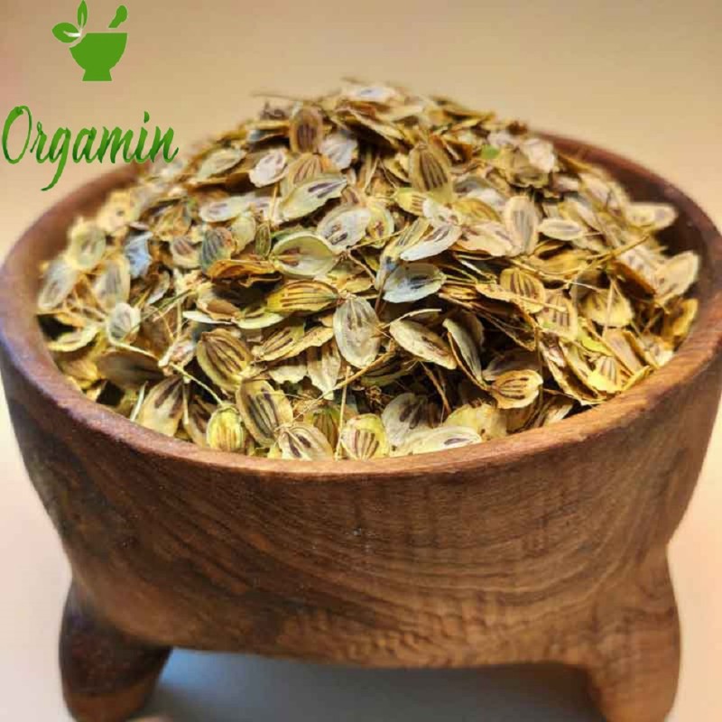 گلپر درشت و اعلا