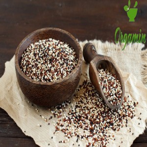 دانه کینوا سه رنگ -با کیفیت-ارزان-مناسب-آشپزی-خرید-اینترنتی-دانه کینوا سه رنگ-با کیفیت