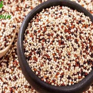 دانه کینوا سه رنگ -با کیفیت-ارزان-مناسب-آشپزی-خرید-اینترنتی-دانه کینوا سه رنگ-با کیفیت