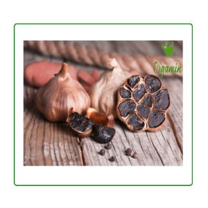 سیر سیاه -با کیفیت-ارزان-مناسب-آشپزی-خرید-اینترنتی-سیر سیاه-با کیفیت