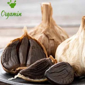 سیر سیاه -با کیفیت-ارزان-مناسب-آشپزی-خرید-اینترنتی-سیر سیاه-با کیفیت