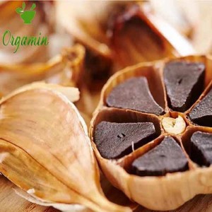 سیر سیاه -با کیفیت-ارزان-مناسب-آشپزی-خرید-اینترنتی-سیر سیاه-با کیفیت