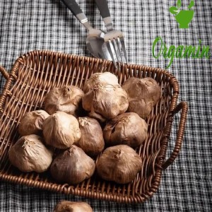 سیر سیاه -با کیفیت-ارزان-مناسب-آشپزی-خرید-اینترنتی-سیر سیاه-با کیفیت