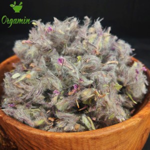 چای کوهی اعلا -با کیفیت-ارزان-مناسب-آشپزی-خرید-اینترنتی-چای کوهی اعلا-با کیفیت