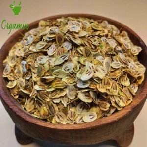 گلپر درشت و اعلا -با کیفیت-ارزان-مناسب-آشپزی-خرید-اینترنتی-گلپر درشت و اعلا-با کیفیت