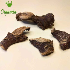 ریشه جوز هندی درجه یک -با کیفیت-ارزان-مناسب-آشپزی-خرید-اینترنتی-ریشه جوز هندی درجه یک-با کیفیت