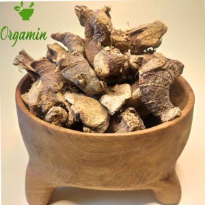 ریشه جوز هندی درجه یک