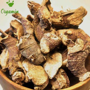 ریشه جوز هندی درجه یک -با کیفیت-ارزان-مناسب-آشپزی-خرید-اینترنتی-ریشه جوز هندی درجه یک-با کیفیت