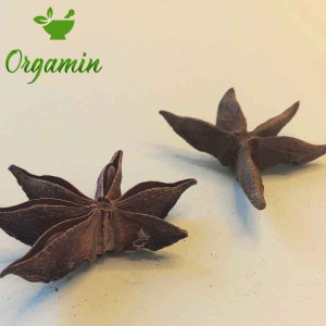 بادیان ستاره ای -با کیفیت-ارزان-مناسب-آشپزی-خرید-اینترنتی-بادیان ستاره ای-با کیفیت