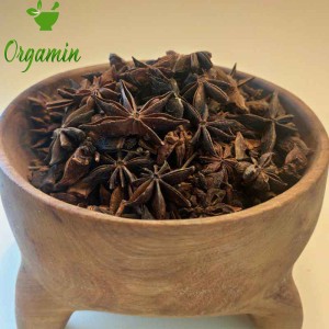 بادیان ستاره ای