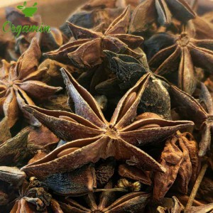 بادیان ستاره ای -با کیفیت-ارزان-مناسب-آشپزی-خرید-اینترنتی-بادیان ستاره ای-با کیفیت