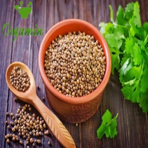 تخم گشنیز سورت شده اعلا -با کیفیت-ارزان-مناسب-آشپزی-خرید-اینترنتی-تخم گشنیز سورت شده اعلا-با کیفیت