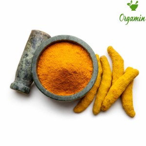 زردچوبه سابیده - عمده